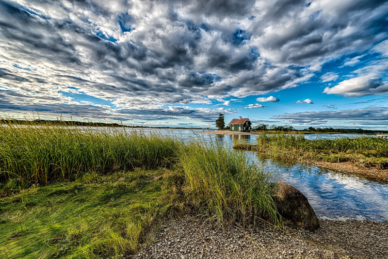 Stony Brook