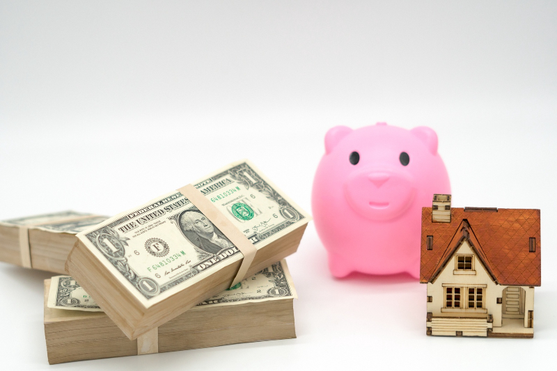 pink piggy bank and cash